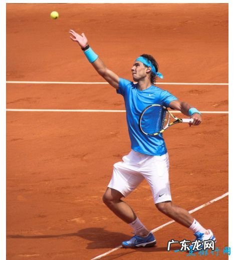 全球10个最棒的网球运动员排行榜竟然没有莎拉波娃