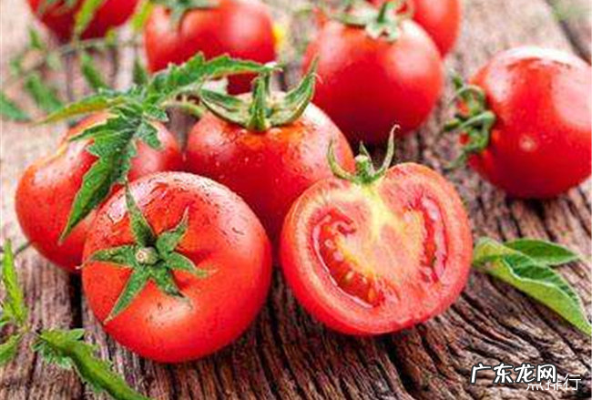 吃什么菜减肥 十种刮油食物越吃越瘦