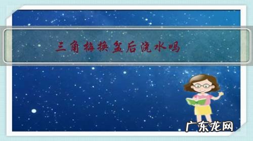 三角梅什么时候换盆换土 三角梅换盆后浇水吗?