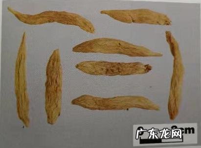 高逼格中药名字麦冬 本草纲目麦冬