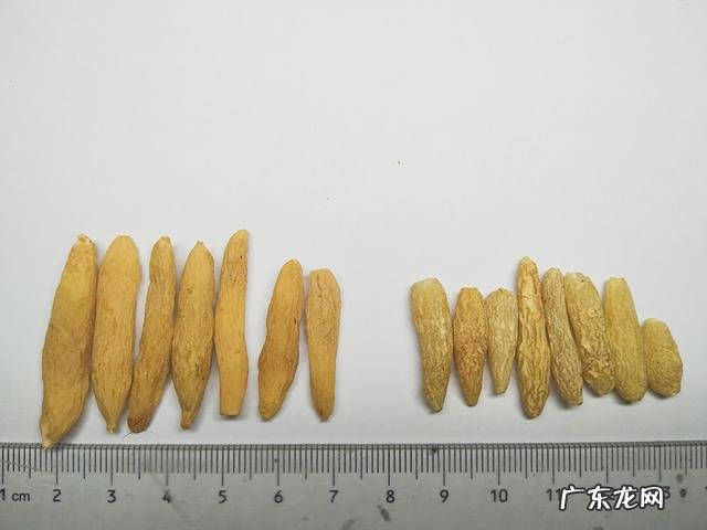 高逼格中药名字麦冬 本草纲目麦冬