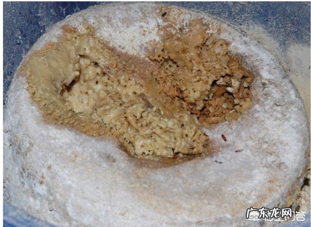 有什么食物是外国人吃,中国人却不吃的