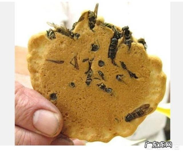 有什么食物是外国人吃,中国人却不吃的