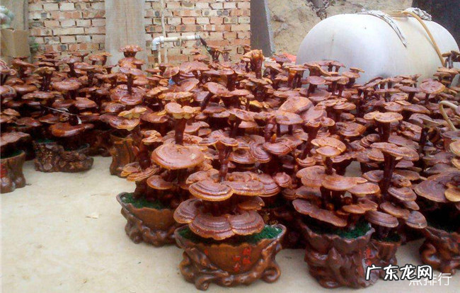 聊城十大特产 聊城特产有哪些