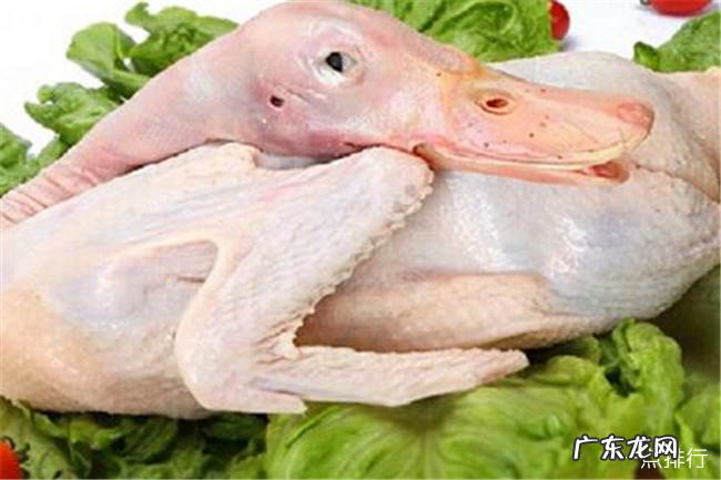 嘌呤高的食物有哪些 十种含嘌呤高的食物排行