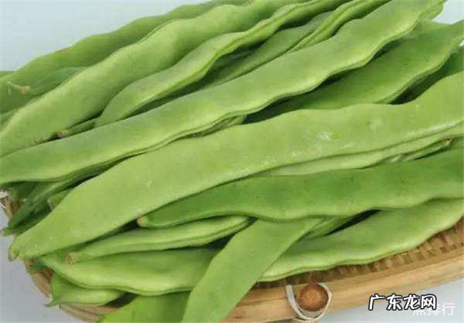 嘌呤高的食物有哪些 十种含嘌呤高的食物排行