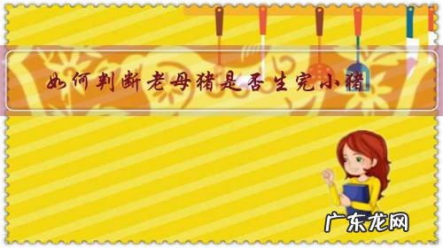 怎么判断母猪生完小猪 如何判断老母猪是否生完小猪？