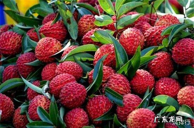 海口十大特产 海口特产都有什么