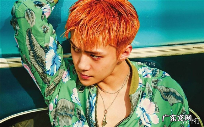 exo成员人气排名2019 吴世勋仅排第二