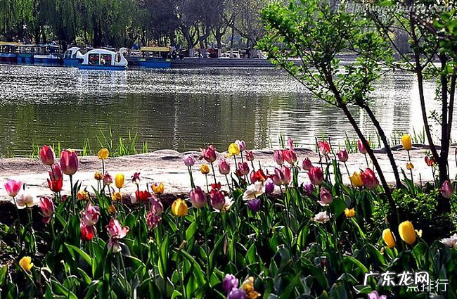 兰州十大旅游景点排名 兰州好玩的景点有哪些