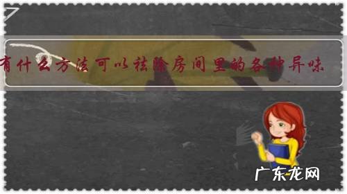 有什么方法可以祛除房间里的各种异味?