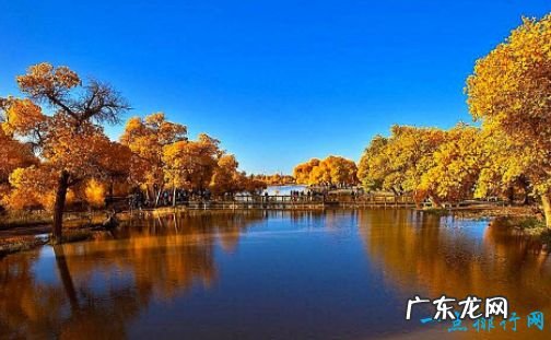 长度为3692千米 世界上最长的内流河 伏尔加河