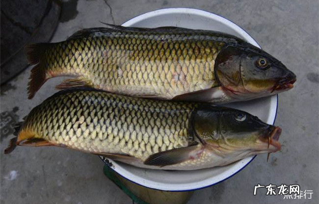 广安十大特产 广安特产有哪些