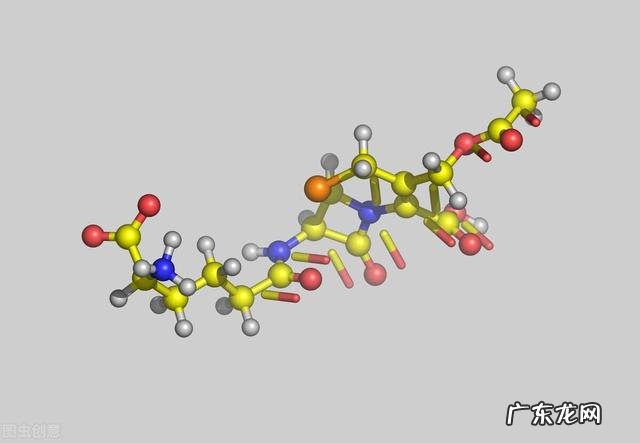 十六种头孢菌素给药特点及说明