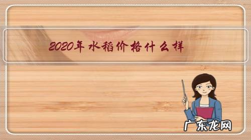 2020年水稻价格什么样,怎么个走势?