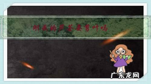 剪下来的芦荟怎样栽培 刚栽的芦荟要剪叶吗?