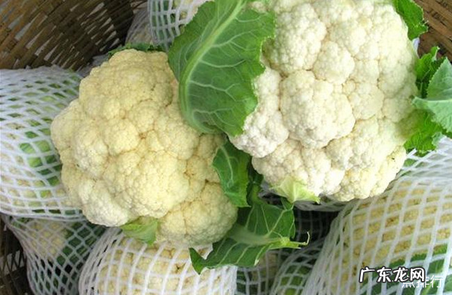 消肿的食物有哪些 十大最佳消肿的食物排行