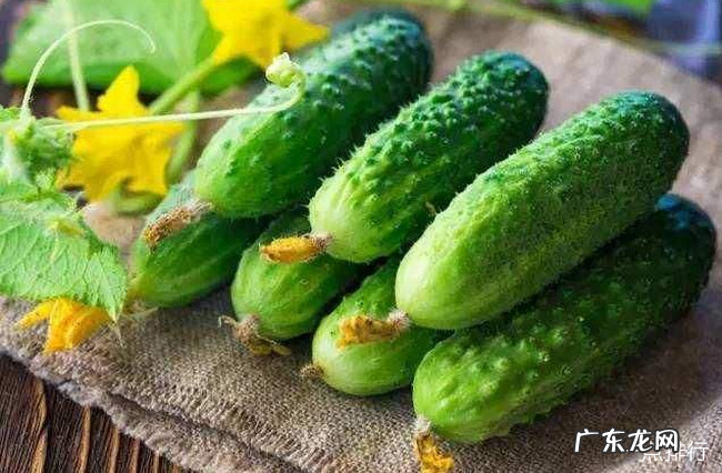 消肿的食物有哪些 十大最佳消肿的食物排行