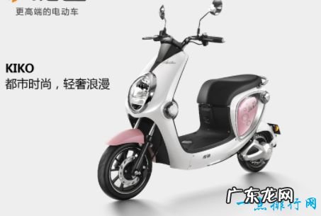 中国十大电动车品牌 绿源排第一