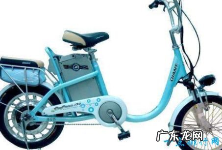 中国十大电动车品牌 绿源排第一