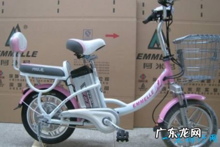 中国十大电动车品牌 绿源排第一