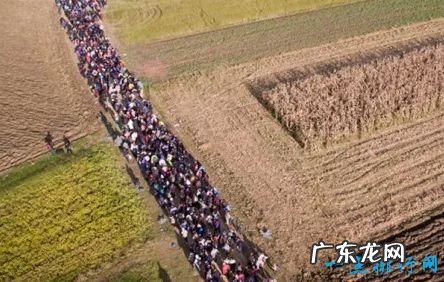 世界上最大的人口迁移 1.58亿人移民