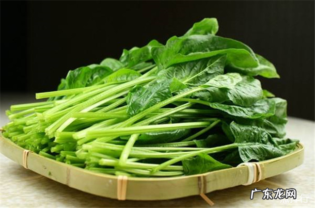 血虚吃什么比较好 10种补血的食物排行