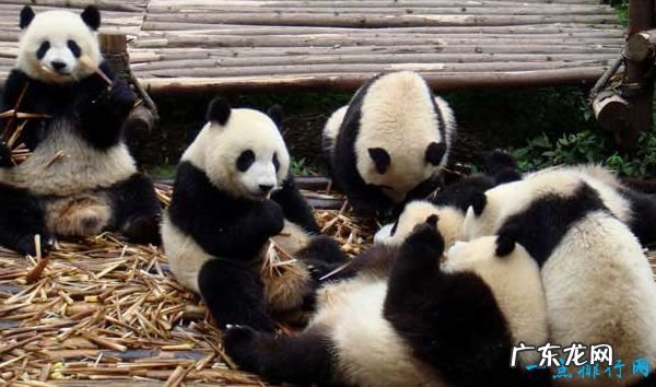 中国十大城市 外国游客必去的中国城市