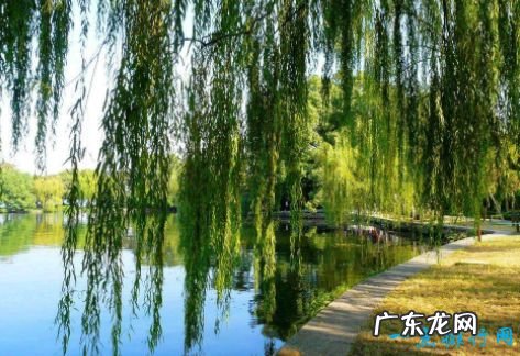 杭州西湖十景介绍 西湖十景有哪些