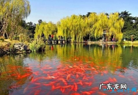 杭州西湖十景介绍 西湖十景有哪些