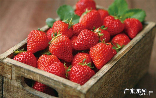 世界十大抗癌水果排名 草莓抗癌效果最强