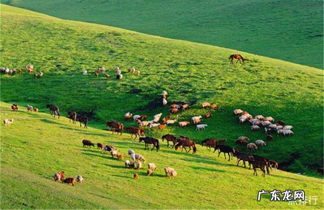 邵阳十大旅游景点大全 邵阳有什么旅游的景点