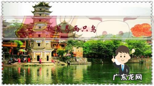 想笼养两只鸟,请问哪个品种皮实好养?