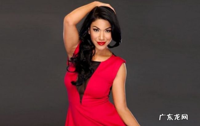 WWE十大最富有的女摔跤手 李阿娇净资产达600万美元