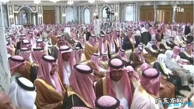 11个王子被抓沙特最富有的王子落马权力大战升级
