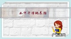 猫怎么养干净 如何干净地养猫？