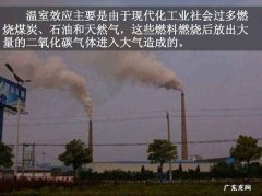 温室效应的成因是什么