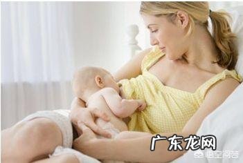 哪些明星是被综艺节目毁掉的人设