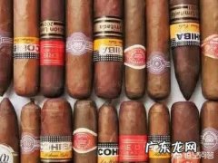 雪茄和普通香烟哪个对身体更有害