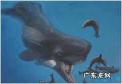 史上最凶猛的鲸，利维坦鲸能捕食须鲸
