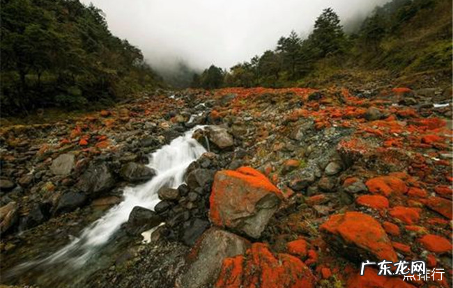 雅安十大旅游景点大全 雅安有什么好玩的地方