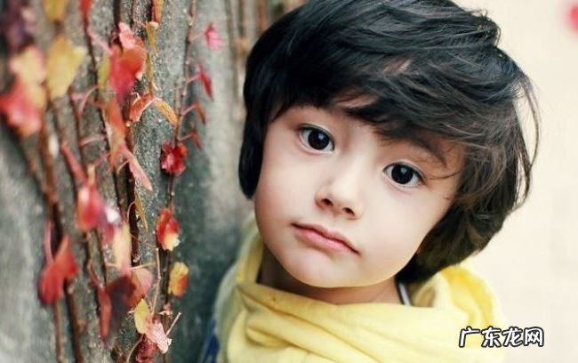 世界上最帅的十个孩子 肖恩·蒙德兹位居第一