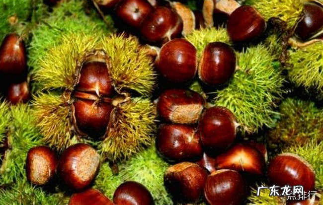 丹东十大特产 来丹东带什么特产回去