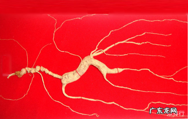 丹东十大特产 来丹东带什么特产回去