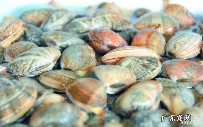 丹东十大特产 来丹东带什么特产回去