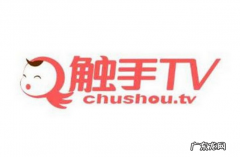 直播平台排行榜 2019年最火的直播平台排行榜