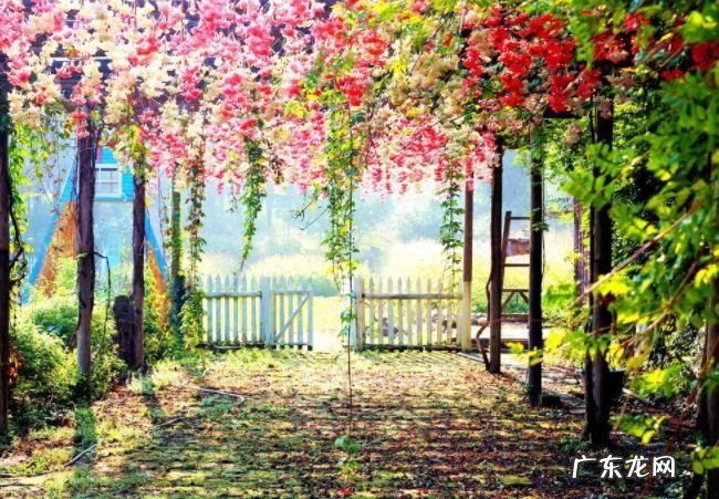 小说网站排行榜前十名 晋江文学城占据榜首