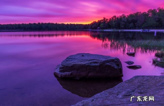小说网站排行榜前十名 晋江文学城占据榜首