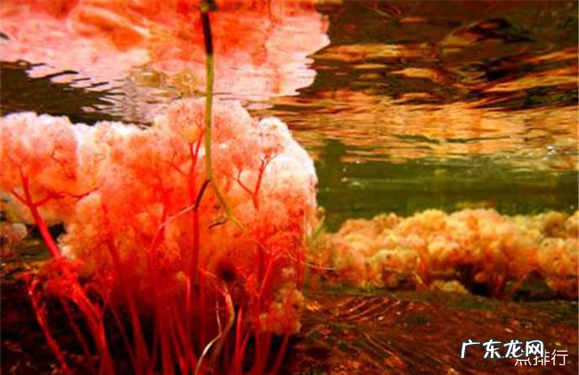 世界十大奇特的自然景观 每一处都让人惊叹