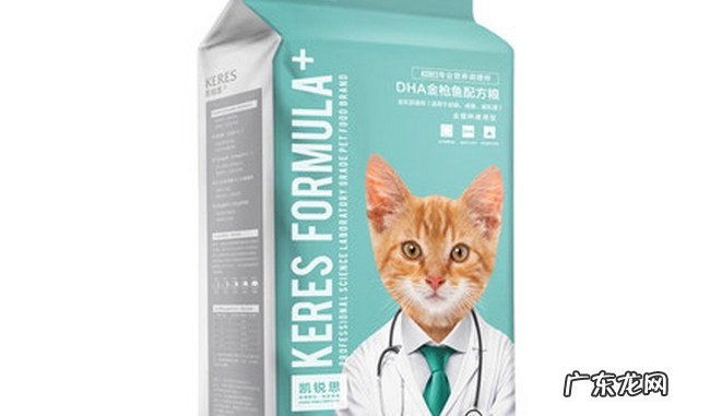 世界猫粮品牌排行 最好的猫粮品牌